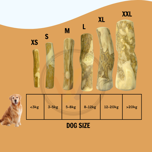 Which size is right for your dog?